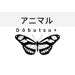 Meet your Posher, Kevaughn